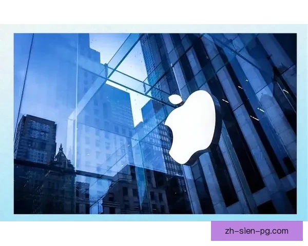 排名变化对比分析：谁能脱颖而出？